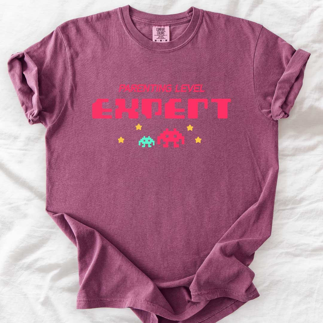 Parenting Level: Expert T-Shirt
