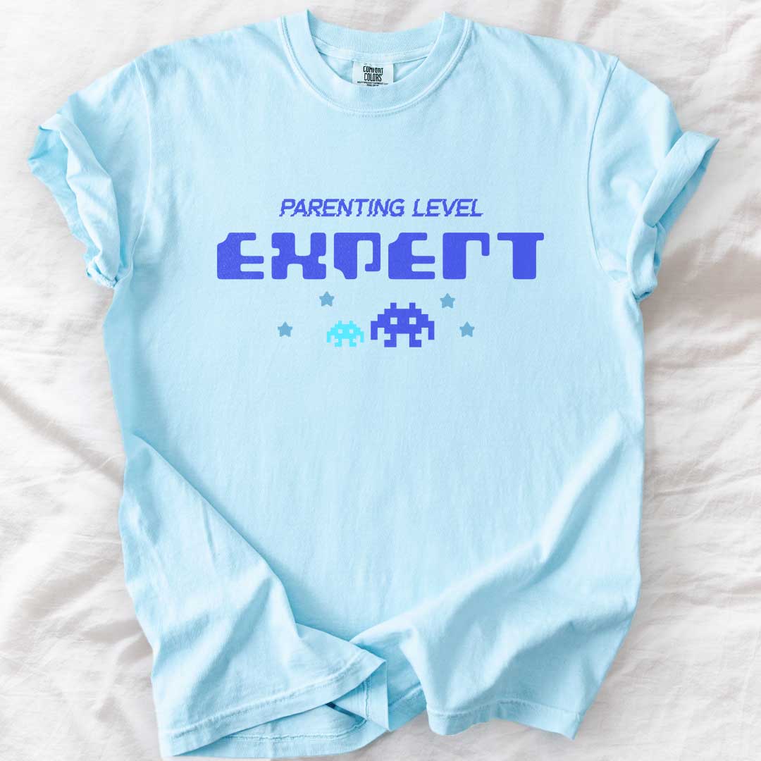 Parenting Level: Expert T-Shirt