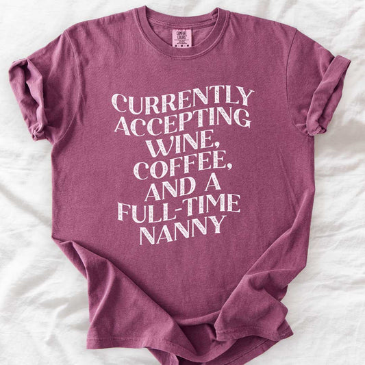 Currently Accepting a Full-Time Nanny T-Shirt