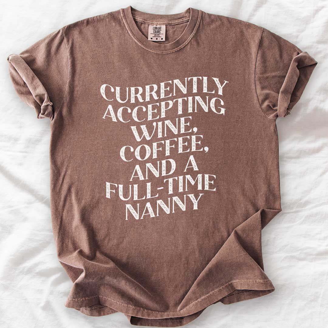 Currently Accepting a Full-Time Nanny T-Shirt