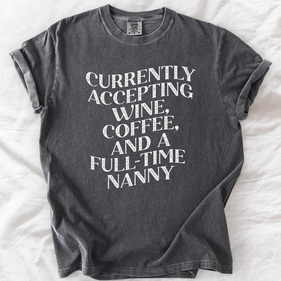 Currently Accepting a Full-Time Nanny T-Shirt