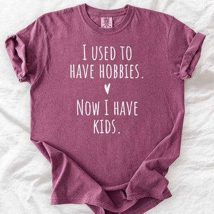 I Used to Have Hobbies T-Shirt