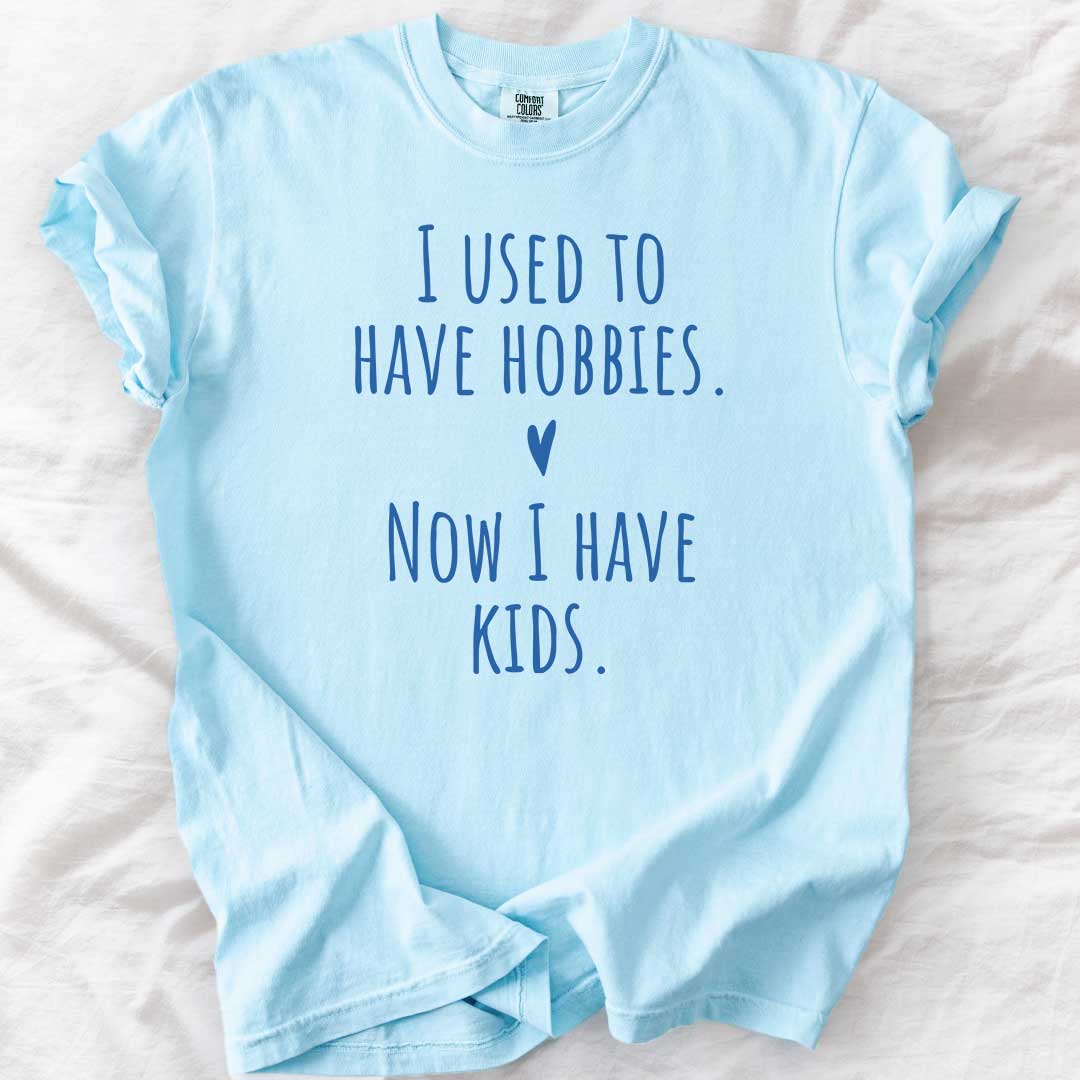 I Used to Have Hobbies T-Shirt
