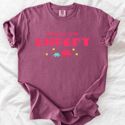 Parenting Level: Expert T-Shirt